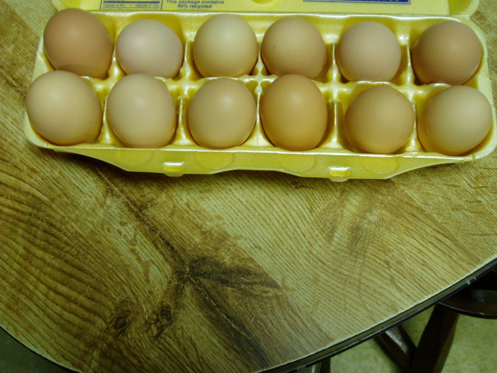 Brown Eggs in a carton