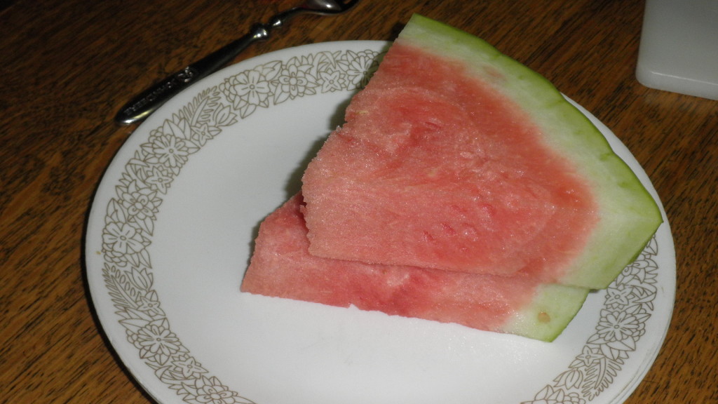 Yum! fresh watermelon slices