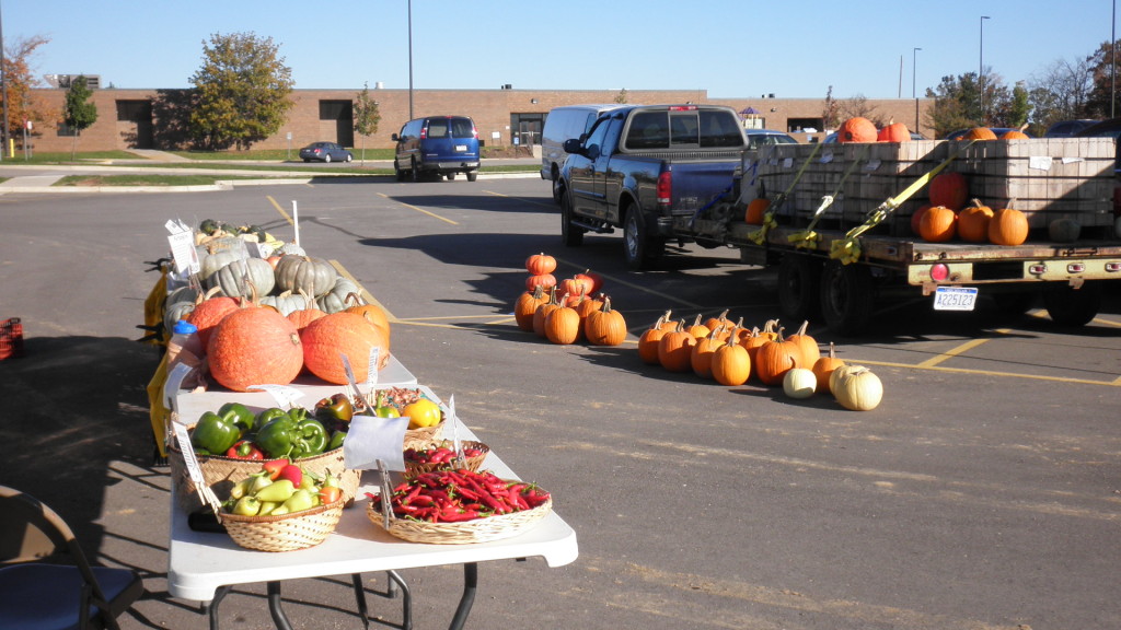 Fresh produce and pumpkins at a farmer's market.